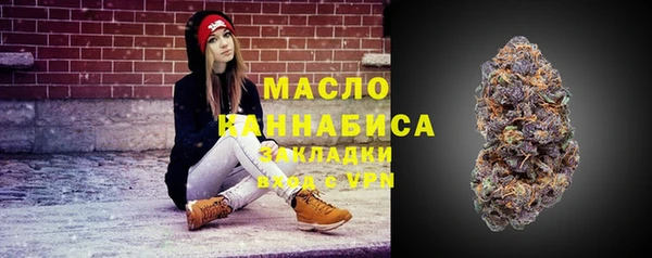 соль ск Верхний Тагил